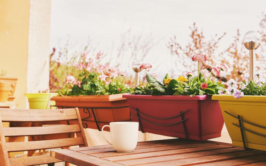 Colorful flowers growing in boxes hanging on balcony fence